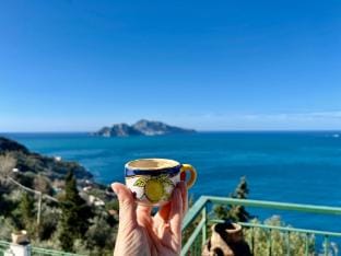 Sorrento appartment, sea view Capri and Ischia Villa in Campania