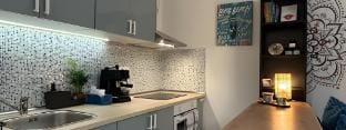 New Studio-Free Parking (EVCS) Vacation rental in Budapest