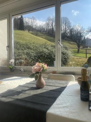 Die individuell möblierten Appartements Apartment in St. Gallen, Switzerland