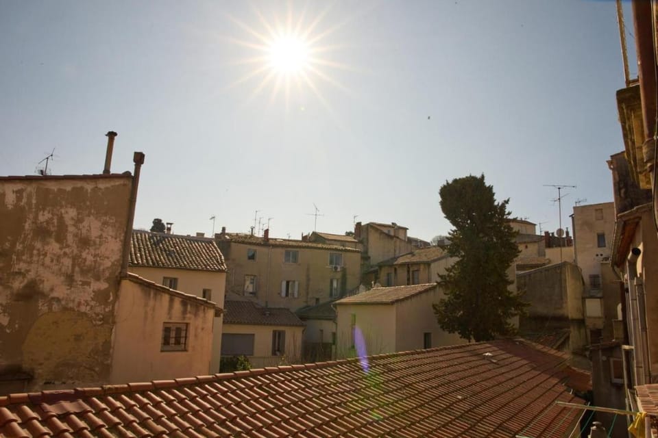 L'écusson charmant Apartment in Montpellier