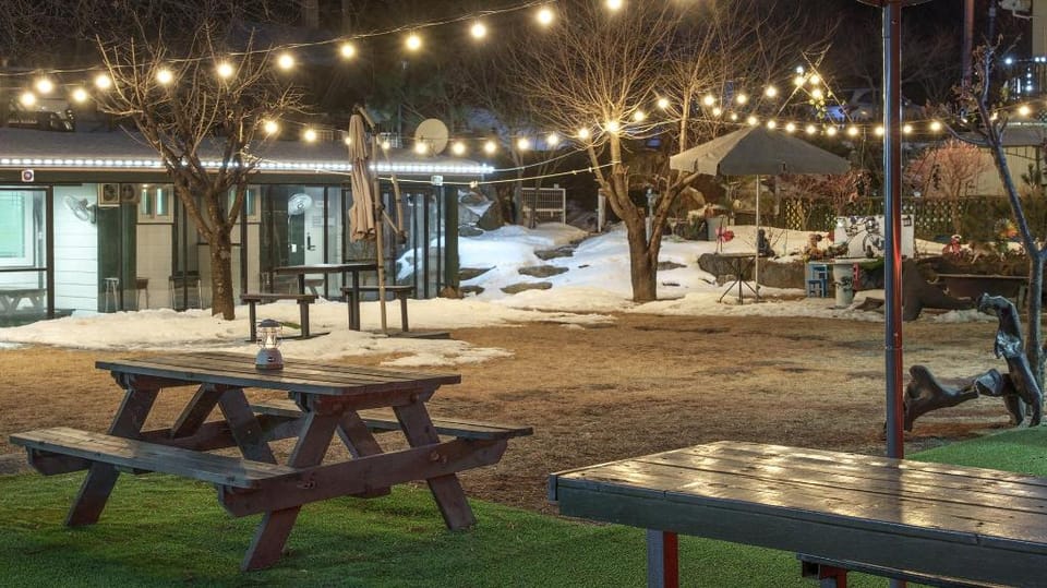 Gapyeong Venezia Dog Pension Bed and Breakfast in Gyeonggi-do