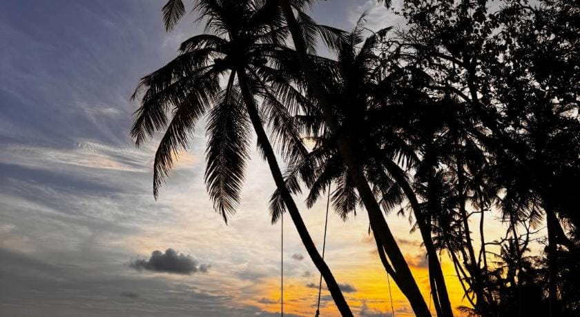 Oasis Breez Hotel in Maldives