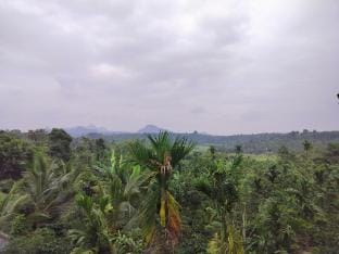 Roneys Villa Vacation rental in Kerala