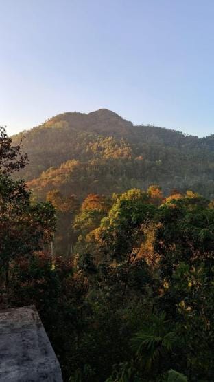 LOVELY HOMESTAY Vacation rental in Kerala