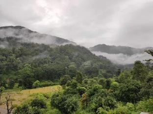 Ghughuti Homestay Vacation rental in Uttarakhand