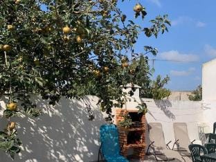 Casa Kika Garden - West Coast Vacation rental in Lisbon District