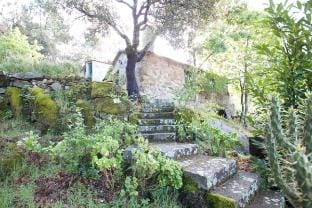 Casa da Eira - into the nature Vacation rental in Aveiro District, Portugal