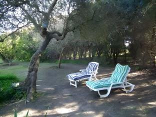 Arneiro de Valverde - Nature & Magical Sunset Vacation rental in Setubal District
