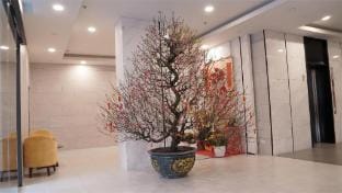 Starlake DAEWOO Apartments by Emily Apartment in Laos