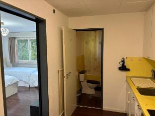2BDR Apt with See View - Free Parking Vacation rental in Lucerne