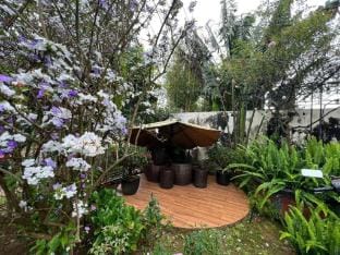 Vườn Trà HomeStay Măng Đen Vacation rental in Vietnam