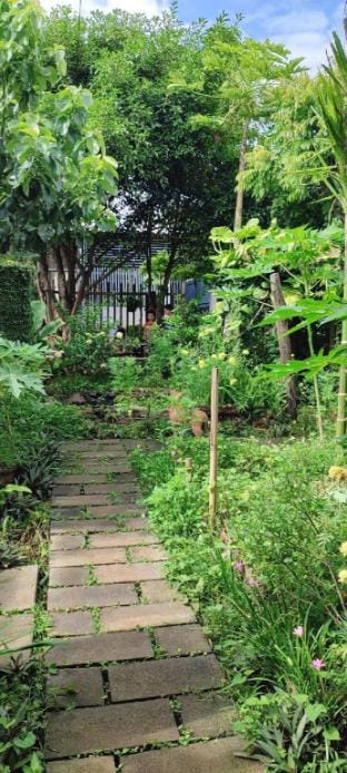 Natural Garden BMT Vacation rental in Vietnam