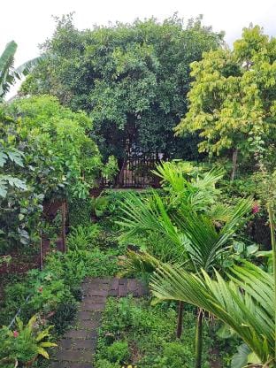 Natural Garden BMT Vacation rental in Vietnam