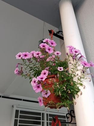 Jennifer MAMA Guesthouse Bdr Bukit Tinggi Klang  Bed and Breakfast in Selangor, Malaysia