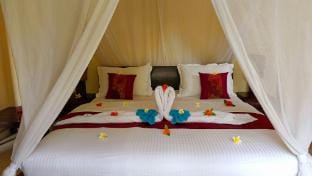 Villa Terang Bulan 4BR beachfront, pool, jacuzzi Villa in Bali