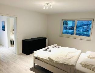 Big house for 10 people Vacation rental in Basel