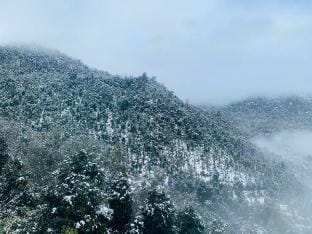 Patal Bhuvaneshwar Homestay Vacation rental in Uttarakhand