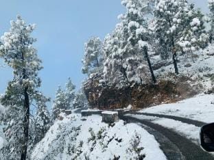 Patal Bhuvaneshwar Homestay Vacation rental in Uttarakhand