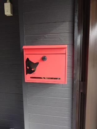 猫室　Cat House Vacation rental in Osaka