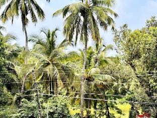 Beautiful 2 Bedroom Aptmt Riviera Foothills, 1204 Apartment in Goa, India