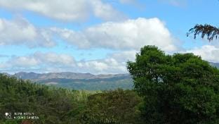 Forest heaven homestay Vacation rental in Kerala