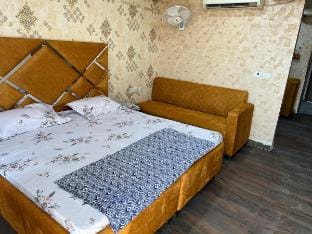 Golden Punjabi House Vacation rental in Punjab, India