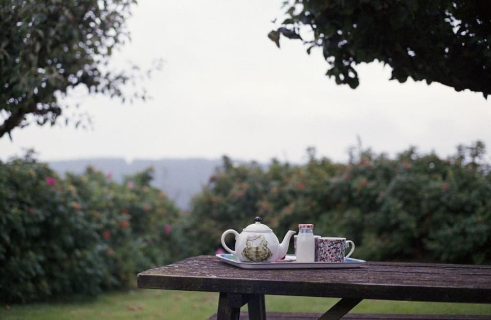 Allercott Farm Apartment in West Somerset District