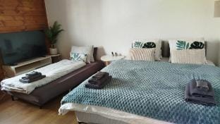 On the lake l 15 min. to Interlaken l Free parking Vacation rental in Canton of Bern (Region)