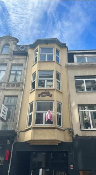 Den Gulden Hooren Antwerp Apartment in Antwerp