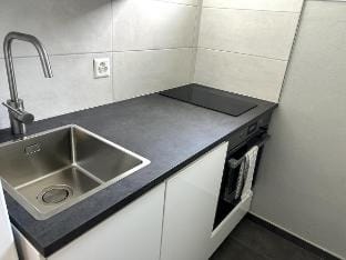 Central & Spacious Apartment | Near Train Station! Vacation rental in Lugano
