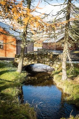 Scottish Highland Lodge Vacation rental in Scotland