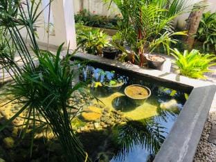 White Square Home-stay Vacation rental in Uva Province, Sri Lanka