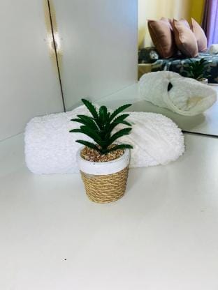 GWMV Guest House  Vacation rental in Cape Town