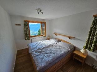 Apartment Haus Stalu 5 guests Vacation rental in Canton of Valais