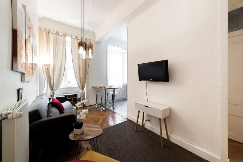 Perfect to visit Lyon with family or friends AIL Vacation rental in Lyon