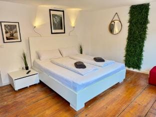Stadthaus 2Grad Günzburg Vacation rental in Baden-Württemberg