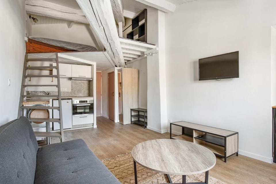 Le Nid d'Aigle de la Comédie Apartment in Montpellier