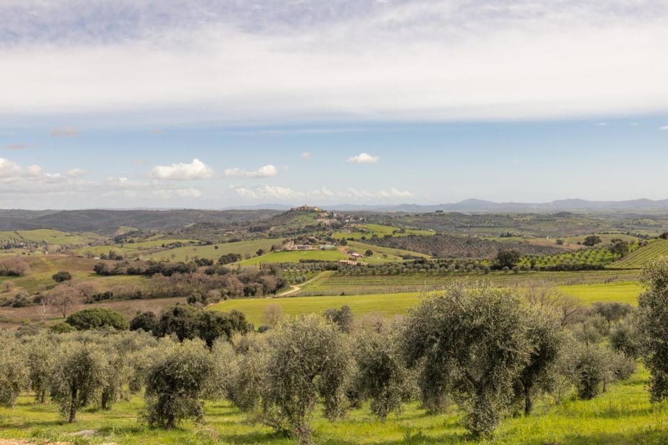 Casale Oleo Farm Stay in Tuscany