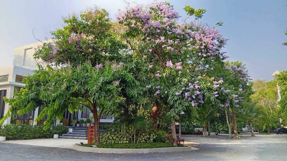มวกเหล็กพฤกษารีสอร์ท Hotel in Laos