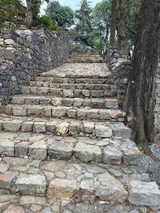 Nerve Cottage Homestay Bhowali Apartment in Uttarakhand