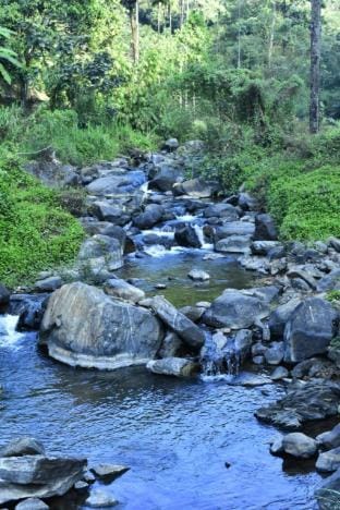 coorg river valley retreat Apartment in Kerala
