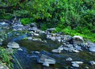 coorg river valley retreat Apartment in Kerala