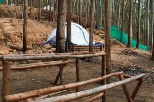 Jumanji the Jungle Home Luxury tent in Kerala