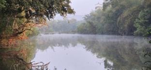 Coorg tribal land homestay Vacation rental in Kerala
