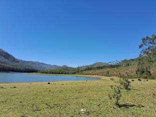 Brindavan Lake Resort  Apartment in Kerala