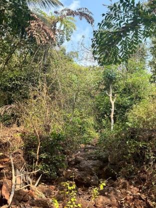 Artham The River View Vacation rental in Karnataka