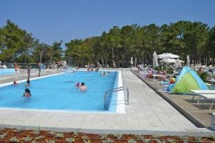 Zaton Apartment with Shared Pool Apartment in Zadar County