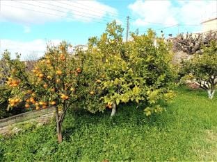 Villa Fragk in Nipiditos village Vacation rental in Crete Region