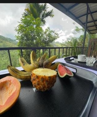Mountain Manor Homestay Vacation rental in Ella