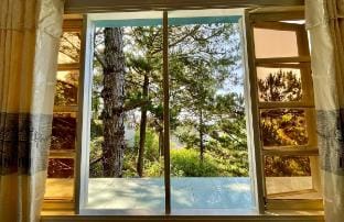 Cozy room with pine forest view balcony  P3 Vacation rental in Dalat